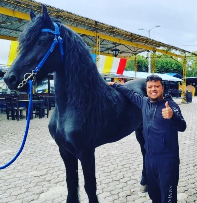 Caballo Del Restaurante De Rafael Santos Perdió El Control Y Generó Momentos De Pánico Entre Los Comensales