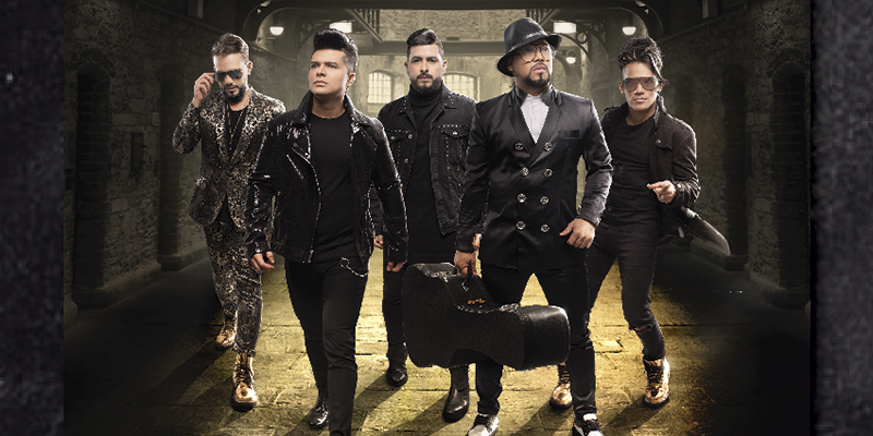 5 Estrellas Llegó Y Gustó